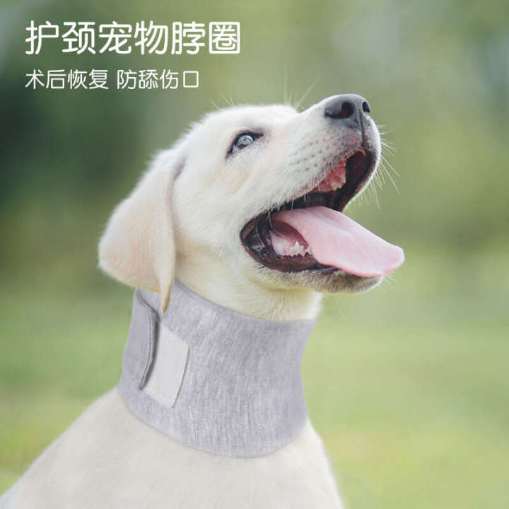 New pet protection neck beauty anti licking head cover, postoperative breathable dog collar