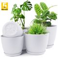 Fast Forward Plant Pots Indoor with Drainage - Pack of 5 Decorative Flower Pots for Indoor Plants - White Plastic Planters for Indoor Plants, Flowers, Cactus, Succulents Pot. 
