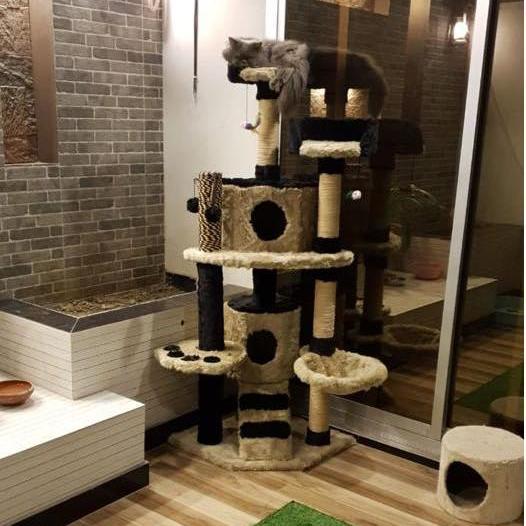 Cat Tree Pet House - Condo Scratch Post