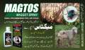 Magtos Wound & Maggots Spray. 