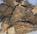 Morel Mushroom, Gucchi, Mushroom 100grams. 