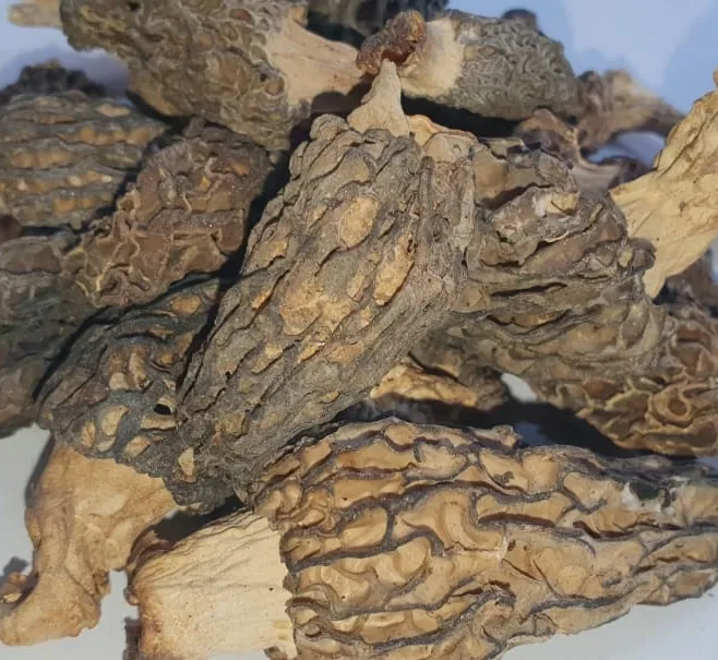 Morel%20Mushroom,%20Gucchi,%20Mushroom%20100grams%20-%20Image%204
