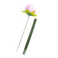 50Pcs/lot Artificial Branches Twigs Iron Wire DIY Flower Making Craft Decor. 