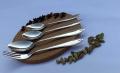 "29-Piece Stainless Steel Cutlery Set  | Classic Design Spoons, Forks, Curry & Rice Serving Utensils for 6 People | Perfect for Family Dining and Regular use.. 