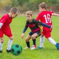 Silent Football Size 5 Indoor Silent Foam Soccer Ball Size 3 Mute Bouncing Ball Silent Basketball Ball Silent Ball Gift for Boys Pizazzazz. 