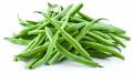Green Fresh Frash Beans Kitchen Gardening Summer Vegetable Hybrid F1 Seeds. 