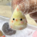 1PC Miniature Chick Pig Animal Relief Squeeze Toy Sticky Squishy Mini Penguin Duck Stress Relief Squishy New Fidget Toy Qingyue. 
