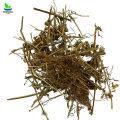 Amar Bail 250gm امربیل - Cuscuta - Afteemo  / Akash Bael آکاش بیل / Amarbel / Akas Bell / Bel / Aftimo - 100% Original and Pure 250 grams By Herbisol. 