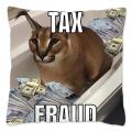 Floppa Cute Meme Cushion Cover 40x40 Home Decor Dakimakura Funny Caracal Cat Throw Pillow Case for Living Room Housse De Coussin. 