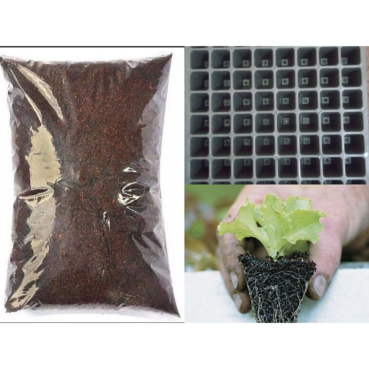 Seedling tray 64 hole & seeds starting mix 500 gram each for seed starting