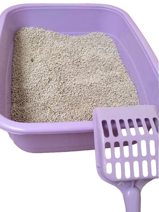 Kitten%20Litter%20Tray%20For%20Cat%20-%20Multi%20Colour%20-%20Free%20Scoop%20-%20Image%202