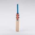 Hard Ball Cricket Bat-Babar Azam Hypernova 1.3 Generation Edition. 