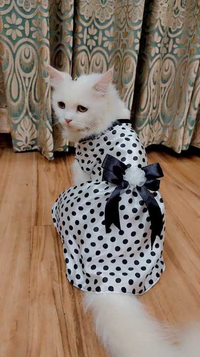 Polka%20Dot%20Pet%20Frock%20-%20Medium%20-%20Image%202