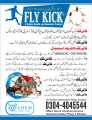 Fly kick Insecticide. 