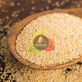 Poppy Seeds / Khashkhash / Organic Poppy Seeds whole 160g. 
