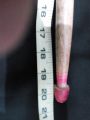 1 pcs 20 inch long sheesham Wooden Jhatki stick without cloth for use cleaning window dusting door and remove the flying bee wooden stick duster mosquito. 