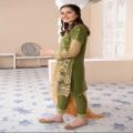Decent Embroidered 3 Piece Organza Dress/Eid Collection For Women. 