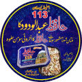 113 MULTANI SOHAN HALWA (AKHROTI) ORIGNAL MULTANI half kg. 