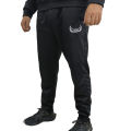 WINGS Winter Track suit for men. 