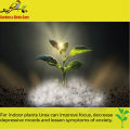 UREA (Nitrogen Fertilizer) High Quality Water Soluble for Plant Lovers & Gardeners. 