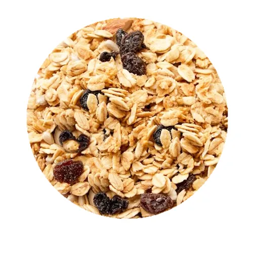 Oatmeal%20/%20muesli%20500%20gram%20with%20dry%20fruits%20ADLO%20-%20Image%206