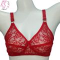 Seamless Net Bra For Women Transparent Bra , Jaali Braziers. 