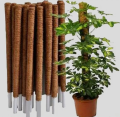 Plant Stick (4 Ft) Straightener For Climbing Indoor Plants / Money Plants Pack Of 1,2,3,4,5. 