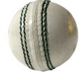 Kookaburra hard ball. 