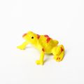 12pcs Figure Model Plastic Frog Action Figures Kids Toy Set,Assorted Plastic Frog Animal Realistic Collection Toy Frogs For Kids. 