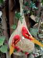 Customized Handmade Artificial beautiful Bird nest, with Bird Egg Decorative Nest, excellent Decor Hanging Nesting Hand Woven Natural Humming Bird Nest Hut for Window Home Garden Tree Outdoor Event and Decoration. 