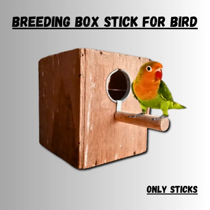 Keeker%20Wooden%20Breeding%20Box%20Stick%20for%20Birds%20-%20Budgies%20Finches%20Java%20Lovebirds%20Sitting%20Stick%20-%20Only%20Sticks%20Pack%20of%202-5-8-10-15-20%20Pieces%20-%20Image%203