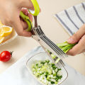 Multifunctional rubber handle stainless steel kitchen vegetable shears 5 blades herb scissors. 