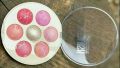 7 Colors Blusher  in 1 Professional Terracotta Blush On Palette Kit. 