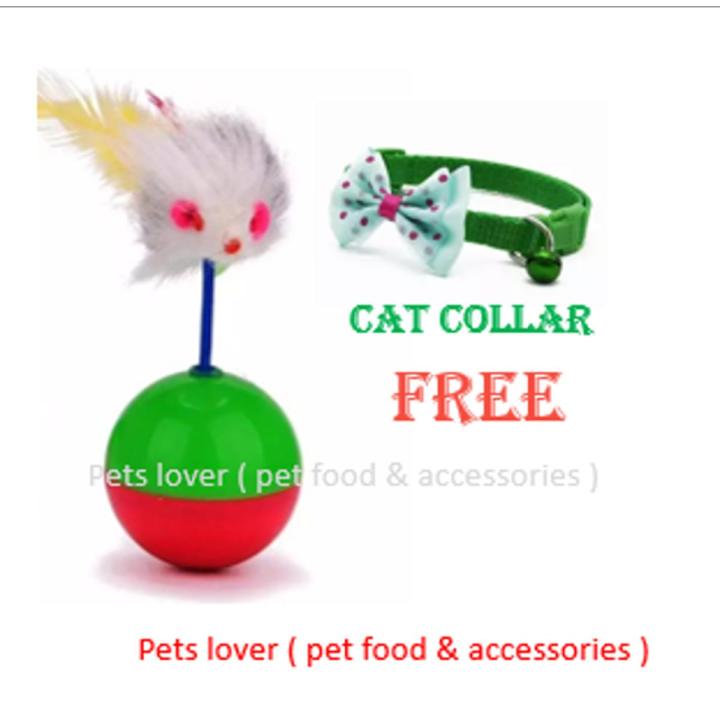 CAT MOUSE ROUNDING boll PLAYING TOY WITH GIFT