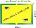 Pack of 2 - Mouse Trap Large Mouse Glue Pad Traps. 
