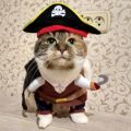 1 Funny Cat Costumes Pirate Suit Cat Clothes Kitty Kitten Corsair Halloween Costume Puppy Suits Dressing Up Party Clothes For Cats. 