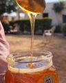 Ameer Farms Organic Pure Honey 250g. 