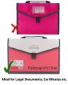 TRANBO Plastic Expanding Bag File Folder with 13 Section Pockets, FC Size, Pink. 