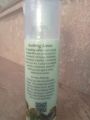 Soothing Lotion 120ml. 