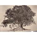 Tree of Life Pen & Ink by Arooj Mirza Studios  Painting, Art work, Original Artist work, Wall decoration, Home decoration, Living room, dinning room, bedroom decor. 