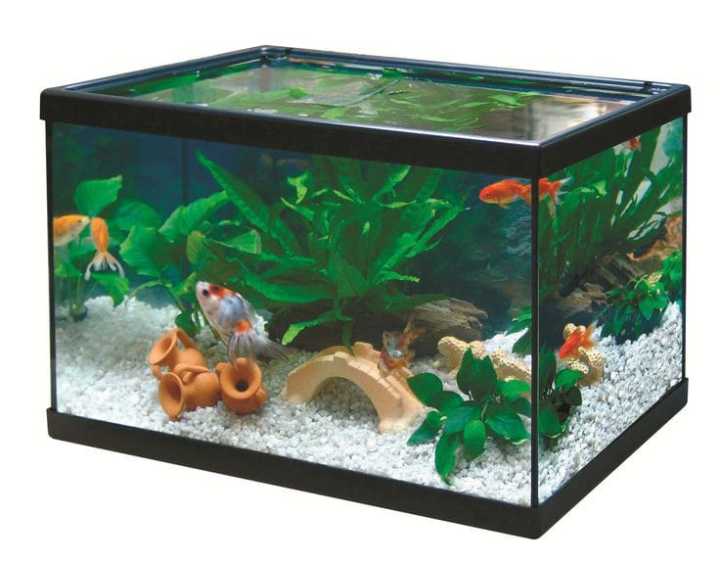White%20Marble%20Gravel%201%20KG%20-%20Large%20Size%20-%20Aquarium%20and%20Decorative%20Stones%20-%20Image%206