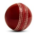 trysalar Pack of 5Cricket Balls for Training  Red, Coaching, Practice & Excellent Bounce Skills Soft Foam Rubber Cricket Ball with Durable Traditional Seams Stitched for All Age Players Pack of 5. 
