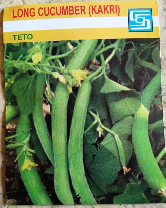 Long Cucumber (Kakri)
