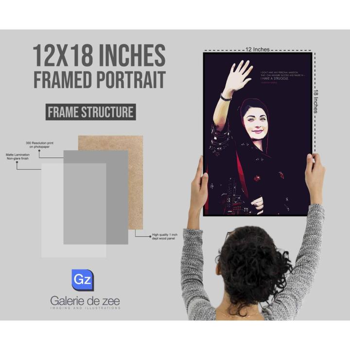 Maryam Nawaz framed illustration artwork portrait