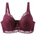 2022 New Bras 36/80 38/85 40/90 42/95 Cd Cup Pink White Beige Grey Maroon Black Underwear Plus Size Lingerie. 