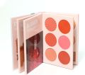 Mocallure 4in1 Makeup Glamour Palette Ultimate Book All in One Blush, Eye shadow, Contour & Highlighter Set. 