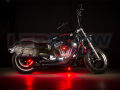 1 Bike Tenki Undertank led light for cars and bike and indoors 12v different colours motorcycle led lights. 