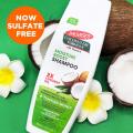 Palmers  Hair Fall Coconut oil Shampoo 400ml. 