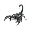 【Universal Car Parts Store】PVC Sticker Lizard Scorpion Car Body Window Sticker Decal Car. 
