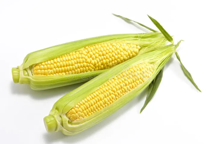 20%20+%20%C3%9B%C2%81%C3%98%C2%A7%C3%98%C2%A6%C3%98%C2%A8%C3%98%C2%B1%C3%9A%CB%86%20%C3%99%E2%80%A6%C3%98%C2%A7%C3%98%C2%A6%C3%98%C2%B2%20%C3%98%C2%A8%C3%9B%C5%92%C3%98%C2%AC%20%C3%99%E2%80%A6%C3%9A%C2%A9%C3%98%C2%A6%C3%9B%C5%92%20%C3%9A%C2%A9%C3%9B%E2%80%99%20%C3%98%C2%A8%C3%9B%C5%92%C3%98%C2%AC%20%C3%99%E2%80%A6%C3%9A%C2%A9%C3%98%C2%A6%C3%9B%C5%92%20%C3%9A%C2%A9%C3%9B%E2%80%99%20%C3%9A%CB%86%C3%98%C2%A8%C3%9B%E2%80%99%20%C3%9A%C2%AF%C3%9A%C2%BE%C3%98%C2%B1%20%C3%98%C2%A8%C3%98%C2%A7%C3%98%C2%BA%C3%9B%C5%92%C3%9A%E2%80%A0%C3%9B%E2%80%99%20%C3%9A%C2%A9%C3%9B%C5%92%20%C3%98%C2%B3%C3%98%C2%A8%C3%98%C2%B2%C3%9B%C5%92%C3%99%CB%86%C3%9A%C2%BA%20%C3%9A%C2%A9%C3%9B%E2%80%99%20%C3%99%E2%80%9E%C3%98%C2%A6%C3%9B%E2%80%99%20-%20Image%202